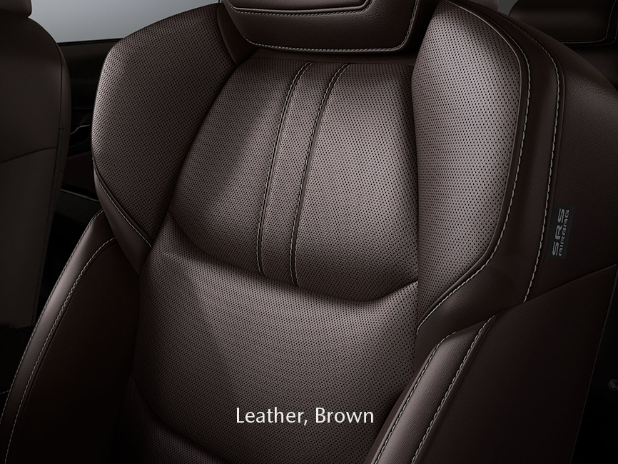 Select Your Color Interior Leather Brown